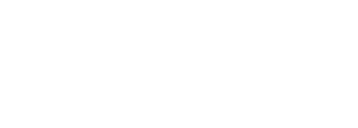 Viurix%20Technologies LLC